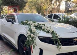 شيفروليه كامارو